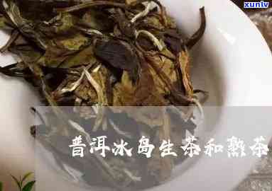 冰岛普洱熟茶和生茶