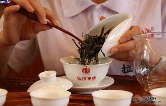 冰岛茶区普洱生茶冲泡技巧及投茶量分析