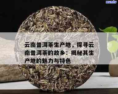 云南特色茶叶产区探秘：普洱茶的产地及其独特风味