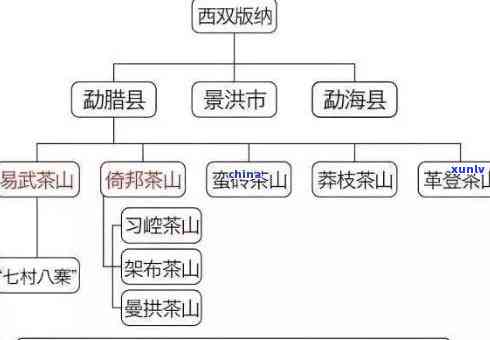 普洱茶哪里种的喝？云南普洱茶产地及口感对比分析