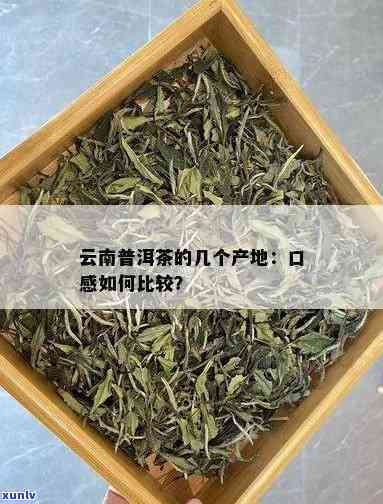 普洱茶哪里种的喝？云南普洱茶产地及口感对比分析