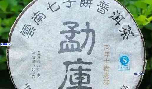 七子饼茶重量规格与直径：每饼克数及直径信息