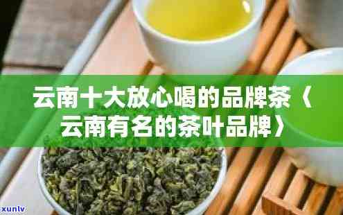 云南特色茶叶加盟排行榜