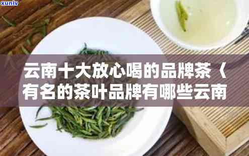 云南特色茶叶加盟排行榜