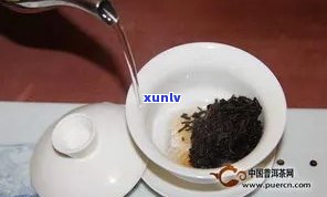 如何正确使用普洱茶化石：泡茶、煮茶的详细步骤与注意事项