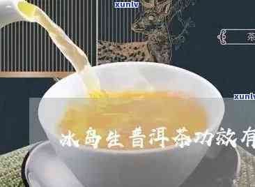 普洱冰岛茶生茶的全面功效与作用解析：从减肥、降脂到提神醒脑，一次搞定！