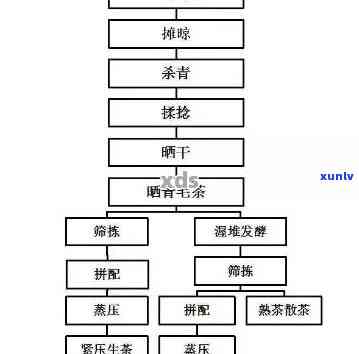 普洱茶 *** 全过程详解：从原料到熟茶的工艺技术与流程