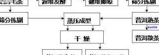 普洱茶制茶完整工艺：从种植到 *** 的流程