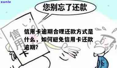 信用卡逾期免息攻略：如何合法避免利息、快速还清欠款并重拾信用？