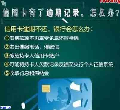 农业银行信用卡逾期处理全攻略：如何协商还款、恢复信用？