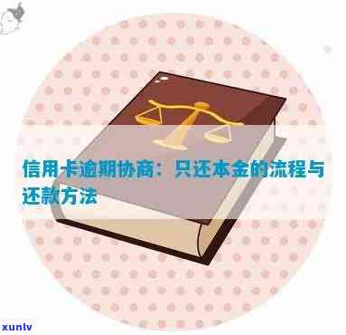 信用卡逾期还款本金的全流程解决指南：如何申请、办理以及可能的后果