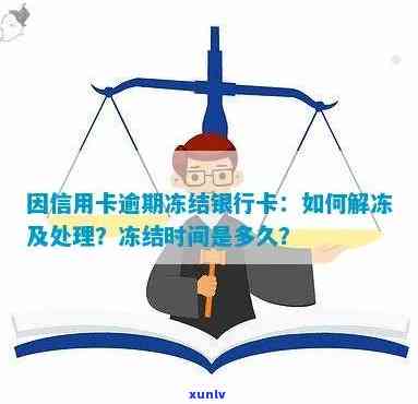 信用卡逾期被移交司法冻结：解冻时间与处理建议