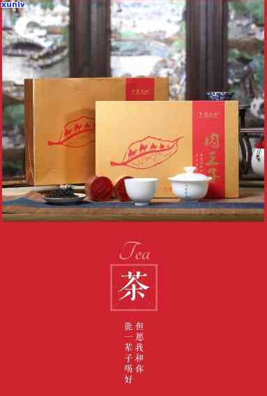 天道茶品上北京，茶城山展宏图