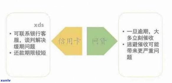 信用卡逾期还款困境：处理网贷信用问题的有效策略