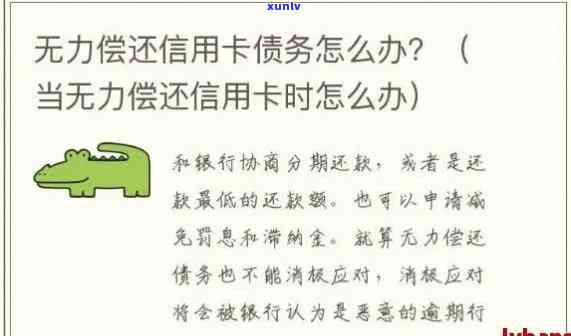 信用卡逾期40万无力偿还怎么办？