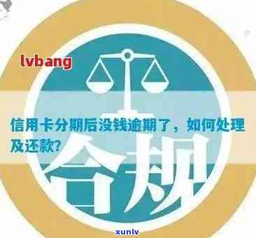 信用卡逾期后的全面处理指南：如何应对账单、解决逾期问题及优化信用评分