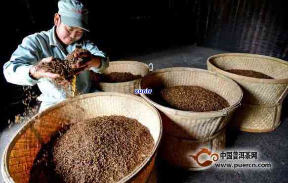 云南滇红茶的发酵秘密：探索独特的 *** 工艺与口感