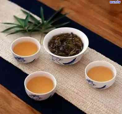 全面比较：各大普洱茶及其特点，助您轻松选购优质普洱茶