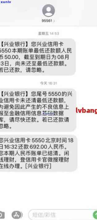 新兴业银行逾期账单查询异常原因及解决 *** 全面解析