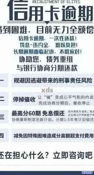 普洱茶泡一天要多少克：茶叶、水、每次泡多少克？