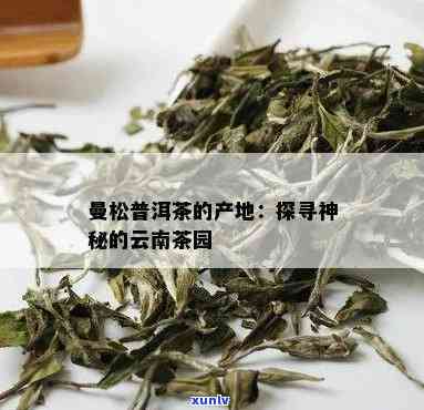 曼麓普洱茶的产地：云南