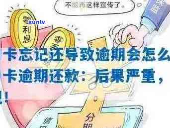 信用卡逾期还款策略：房东协助下的解决之道