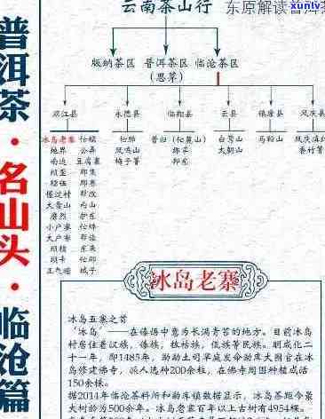 易武与冰岛：普洱生茶之口感解析与班章、昔归对比研究