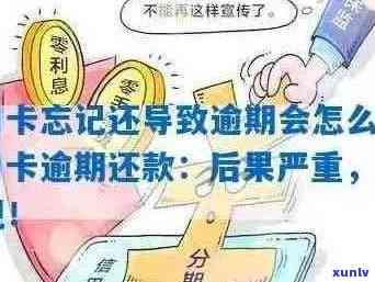 逾期信用卡还款策略：如何应对各种平台问题