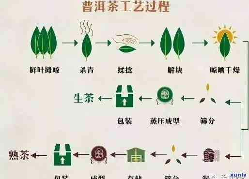 普洱茶起源普洱种类