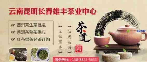 云南特色普洱茶招商加盟：一站式支持与优质排行