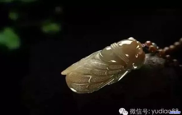 蝉玉石寓意：生命循环与永恒象征