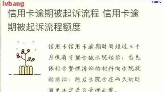 信用卡逾期还款困扰？全面指南助您解决还款难题！