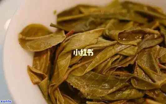 普洱茶叶底一捏就烂正常吗？ 探讨普洱熟茶叶底捏碎的原因。