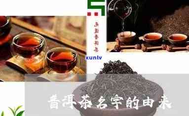 普洱茶名字的三种由来：茶叶品名的深度解析与简介