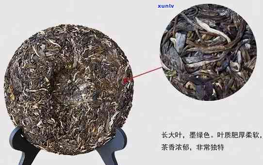 普洱茶名字的三种由来：茶叶品名的深度解析与简介