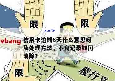 信用卡逾期记录消除指南：报告中不良信息的处理 *** 