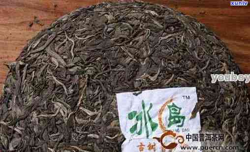 普洱的冰岛茶怎么样好喝吗？普洱茶冰岛的口感如何，属于什么茶？