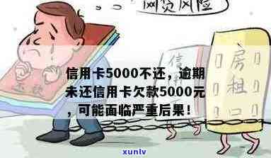 信用卡逾期5000元长达一年的后果分析，不还款会产生什么影响？