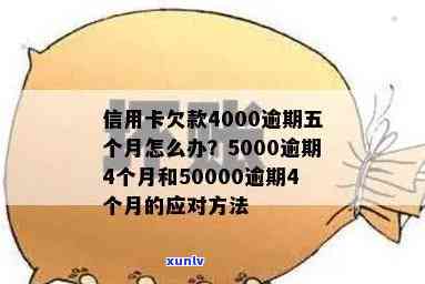 信用卡欠款5000元长期逾期应该如何处理？解决 *** 全解析