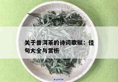 普洱茶与自然共舞：唯美诗词大全