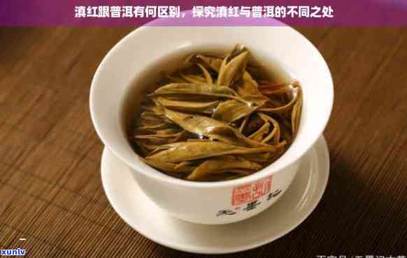 揭秘滇红茶叶：两种颜色的奥秘与普洱茶的区别