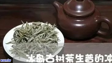 探索冰岛独特风味：普洱生茶冲泡与品饮全指南