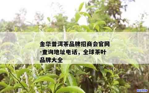 金华普洱茶如何加盟