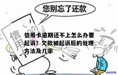 怎么起诉信用卡违规和利息高问题？