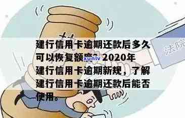 2020年建行信用卡还款新政策：逾期解读与信用管理策略