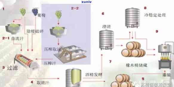 葡萄美酒的作者是谁？同时了解葡萄酒的 *** 过程和种类。