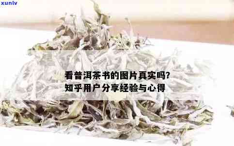 探究普洱茶：一名书的生茶体验与心得