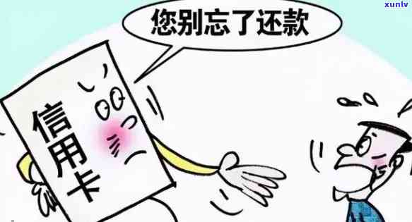 '信用卡逾期难题：朋友欠款如何处理？'