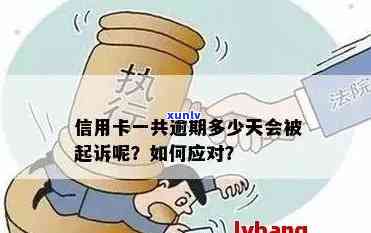 朋友信用卡逾期，我可以采取哪些措？是否可以起诉？了解详细流程和建议