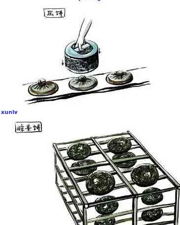 普洱茶 *** 茶艺：全方位学指南及教程，带你掌握专业技能和知识